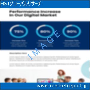 市場と産業調査レポートのイメージ